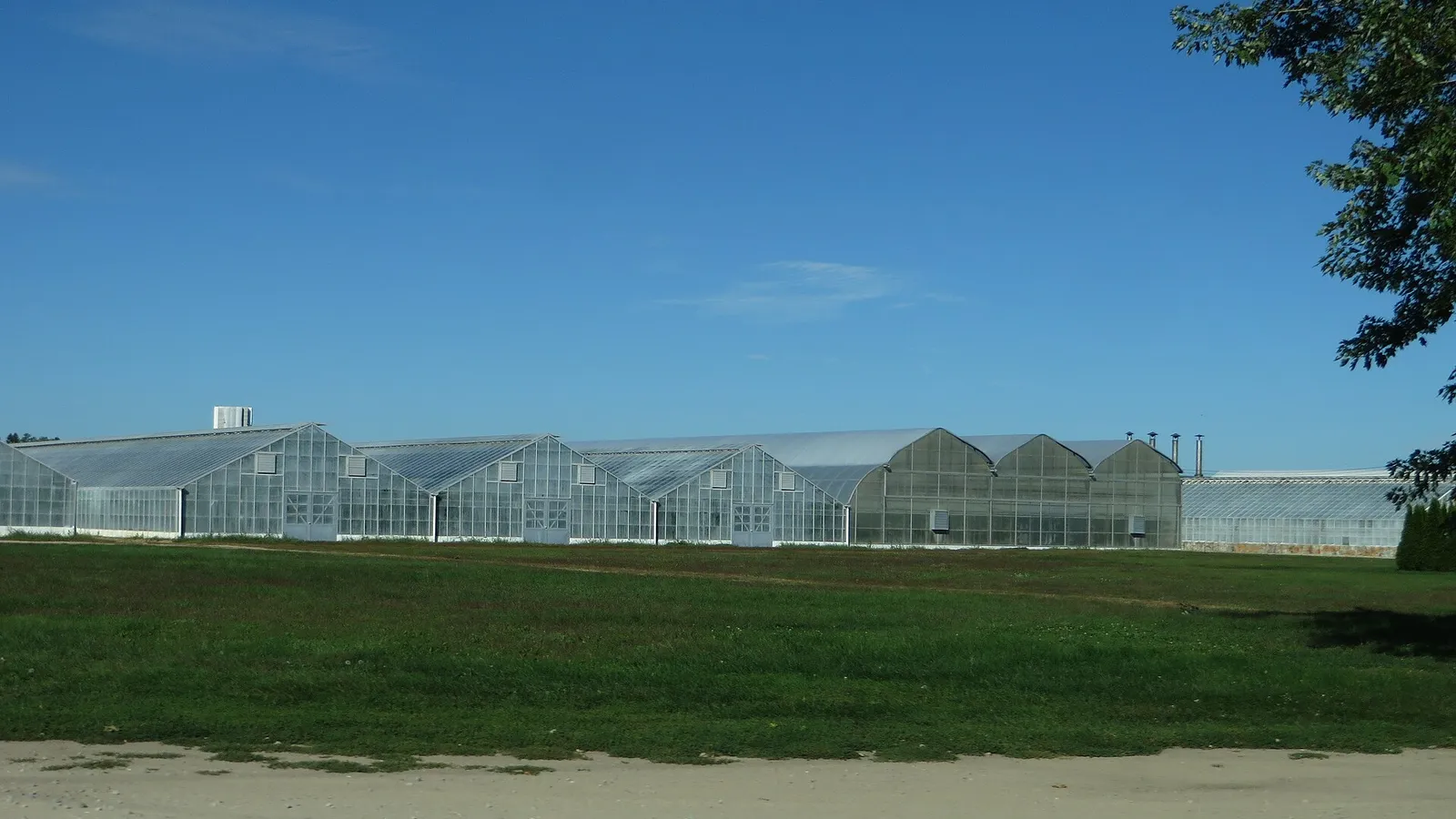 Des serres de production de légumes au Canada